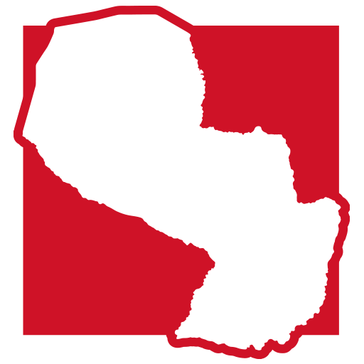 Logo ParaguayProfis