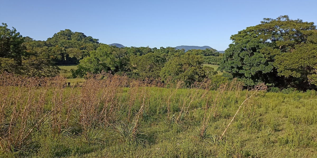 Planta Urbana, Independencia, Paraguay, ,Grundstück,Zu Verkaufen,1005