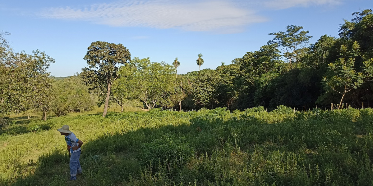 Planta Urbana, Independencia, Paraguay, ,Grundstück,Zu Verkaufen,1005