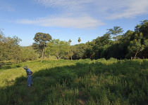 Planta Urbana, Independencia, Paraguay, ,Grundstück,Zu Verkaufen,1005