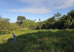 Planta Urbana, Independencia, Paraguay, ,Grundstück,Zu Verkaufen,1005